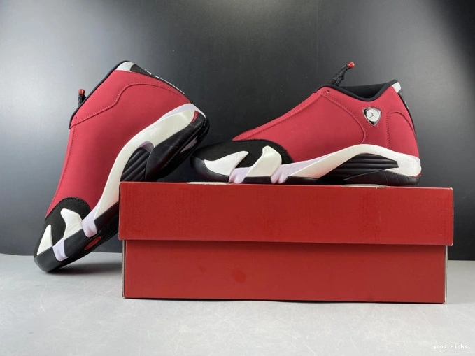 Rep AIR 487471-006 JORDAN RED 14 RETRO TORO GYM 0822